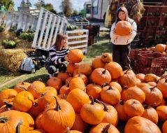 Pumpkins
