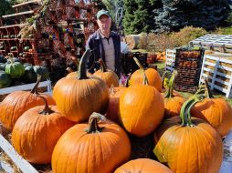 Pumpkins