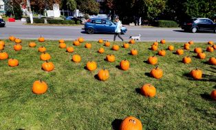 Pumpkins