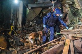 A dog handler with a search dog