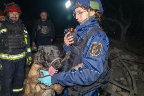 A dog handler with a search dog