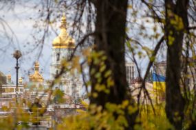 Пожелтевшие листья на деревьях