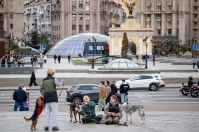 People with dogs