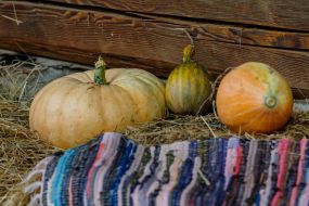 Pumpkins on straw