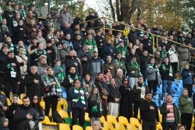 Fans in the stands