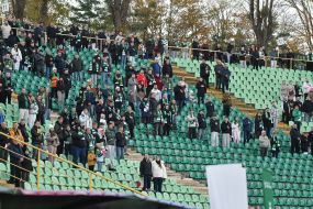 Fans in the stands