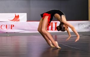 The 13th cheerleading tournament "RED FOXES CUP 2025"