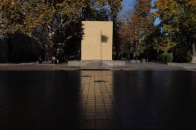 Пам'ятник Пушкіну закрили фанерою в Одесі