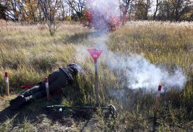 Simulating the detonation of an explosive device
