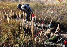 Training veterans in sapper skills