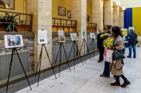 Exhibition of works of participants of the creative works competition "Postcard of Peace"