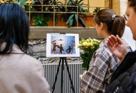 Exhibition of works of participants of the creative works competition "Postcard of Peace"