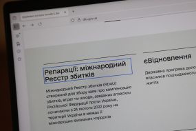 "Repatriations: International Loss Register" page in the "Diya" application