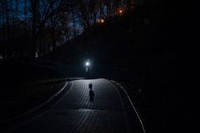 Прохожий с собакой освещает дорожку в парке фонарем