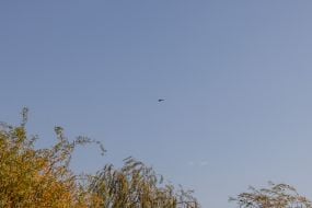 БПЛА в небе