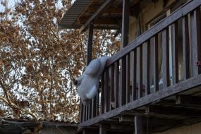 Последствия обстрела Одессы