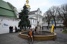 Tulip tree on the territory of the National Reserve “Kyiv-Pechersk Lavra”