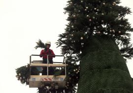 Монтаж новорічної ялинки на Софійській площі