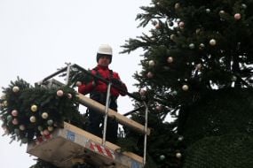 Монтаж новорічної ялинки на Софійській площі