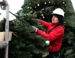 Монтаж новорічної ялинки на Софійській площі