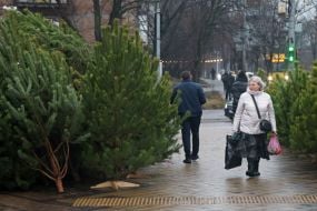 Продаж ялинок у Києві