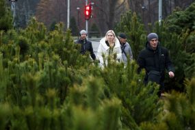 Продаж ялинок у Києві