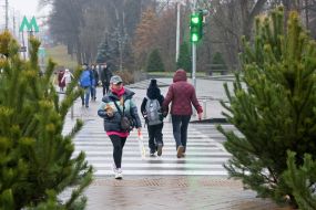 Продаж ялинок у Києві