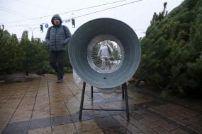 Продаж ялинок у Києві