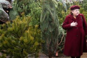 Продаж ялинок у Києві