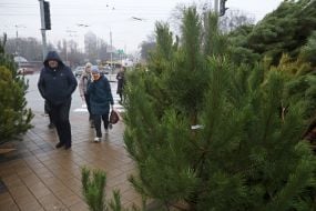 Продаж ялинок у Києві