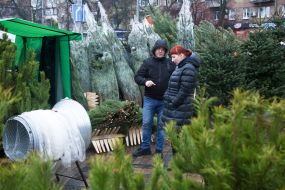 Продаж ялинок у Києві