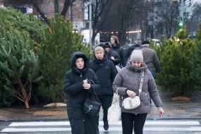 Продаж ялинок у Києві