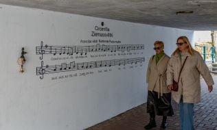 Christmas Cricket Mini-sculpture in Uzhgorod