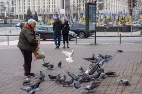 An elderly woman feeds pigeons on the street in Kyiv