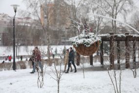 Засніжена алея в парку в Києві