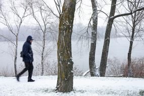 Snow-covered alley in a park in Kiev
