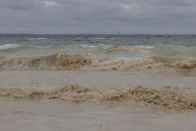 Sunflower oil spill in the sea off the coast of Odessa