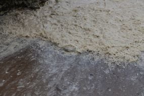 Sunflower oil spill in the sea off the coast of Odessa