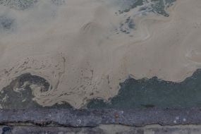 Sunflower oil spill in the sea off the coast of Odessa