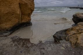 Sunflower oil spill in the sea off the coast of Odessa