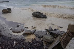 Sunflower oil spill in the sea off the coast of Odessa
