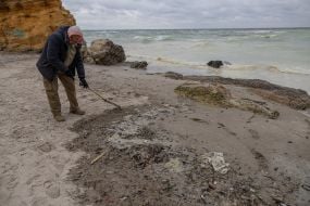 Environmentalists clean up oil slick on the beach in Odessa