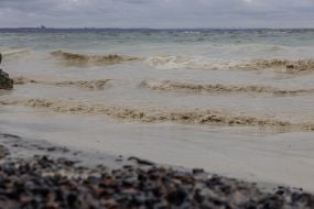 Sunflower oil spill in the sea off the coast of Odessa