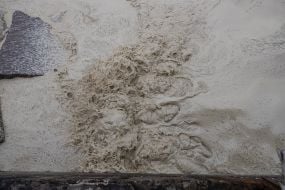 Sunflower oil spill in the sea off the coast of Odessa