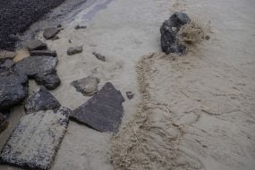 Sunflower oil spill in the sea off the coast of Odessa