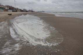 Sunflower oil spill in the sea off the coast of Odessa