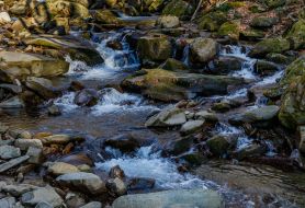 Mountain stream in the Carpathians