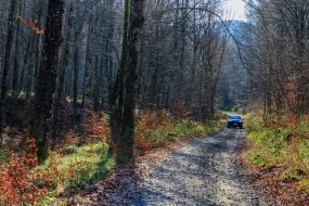 A car is driving along a mountain road in the Carpathians