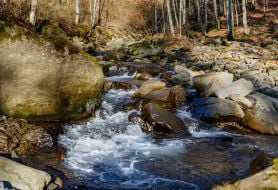 Mountain stream in the Carpathians