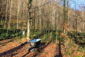 Cast iron bathtub in the forest near a hydrogen sulfide spring in the Carpathians